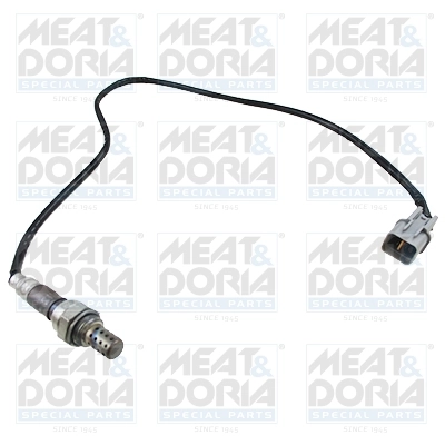 Oxygen Sensor
